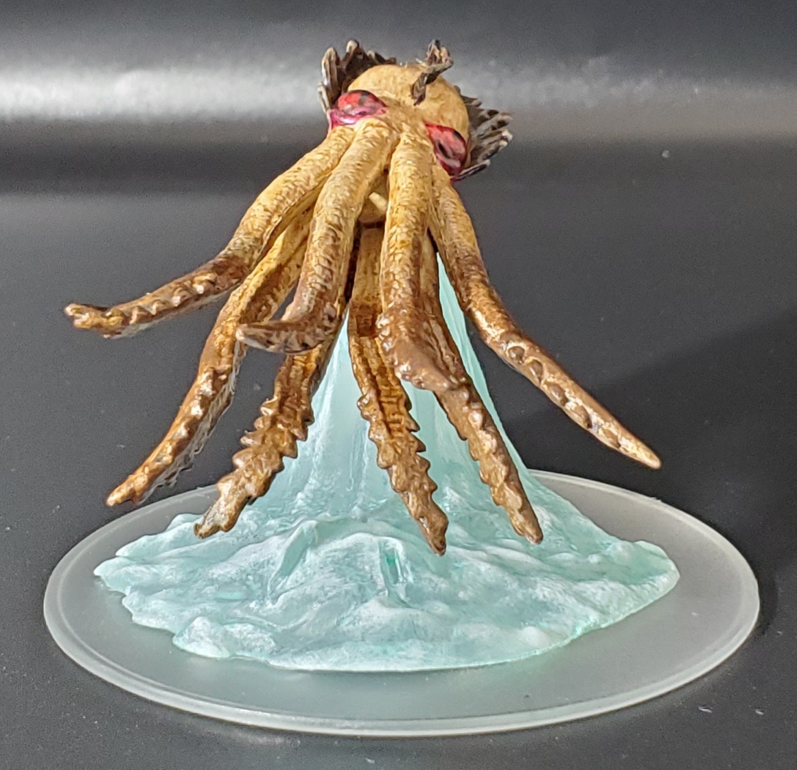 Juvenile Kraken